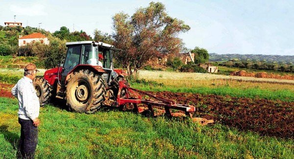 Από 111 ευρώ το μήνα οι αγρότες στην προαιρετική ασφάλιση