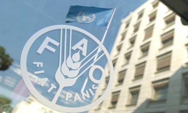 FAO: Σε υψηλό σχεδόν διετίας οι διεθνείς τιμές των τροφίμων