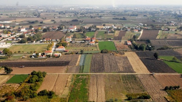 Δημοπρασίες ακινήτων για καλλιέργειες στην Π.Ε. Θεσσαλονίκης