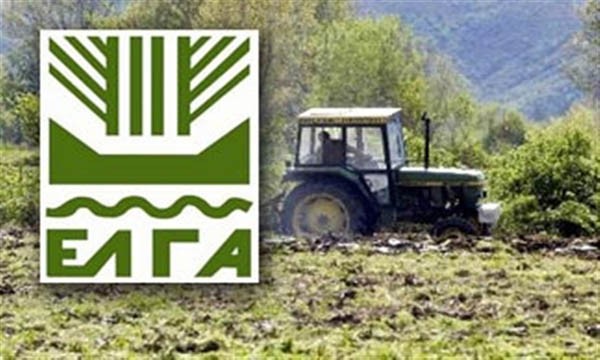ΕΛΓΑ: Έρχονται αύριο αποζημιώσεις 22,5 εκατ. για φυτική παραγωγή και ζωικό κεφάλαιο