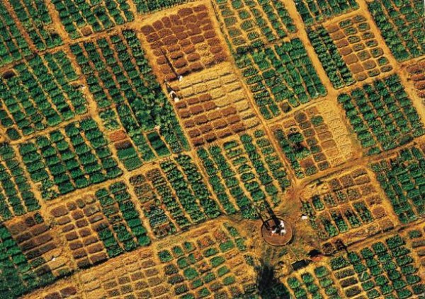 ΠΟΜΙΔΑ: Μετατρέπουν τα γεωτεμάχια σε απλά χωράφια