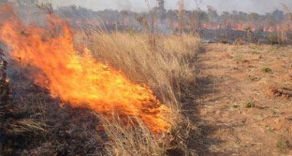 Φωτόπουλος σε Αποστόλου: Όχι σε καύσεις γεωργικών υπολειμμάτων από Οκτώβριο έως Δεκέμβριο