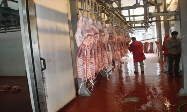 Επενδυτικός συνασπισμός ξεκινά εκστρατεία για τη μείωση της χρήσης αντιβιοτικών στο κρέας 