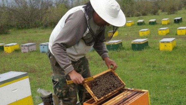 Εκπαιδεύσεις μελισσοκόμων στη Λευκάδα