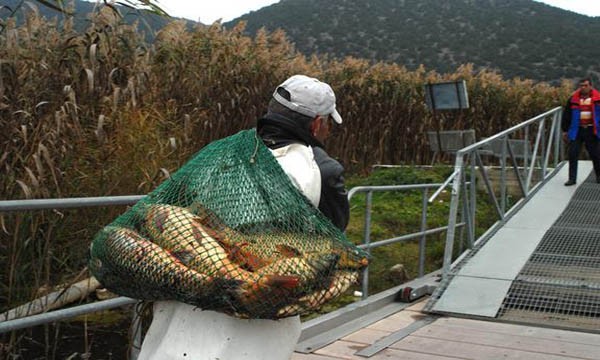 Υπουργική απόφαση για τη διατήρηση των καλυβών αλιέων και κυνηγών στο Δέλτα του ποταμού Έβρου