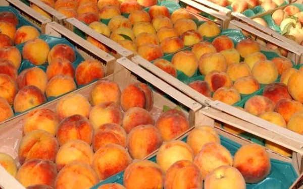 Πονοκέφαλος η μειωμένη παραγωγή και η ματαίωση του διαγωνισμού για τη διανομή φρούτων στα σχολεία 