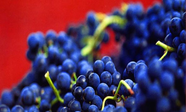 ΥΠΟΙΚ: Aπαλλαγή από τον ΕΦΚ του κρασιού που προορίζεται για παραγωγή ξυδιού 