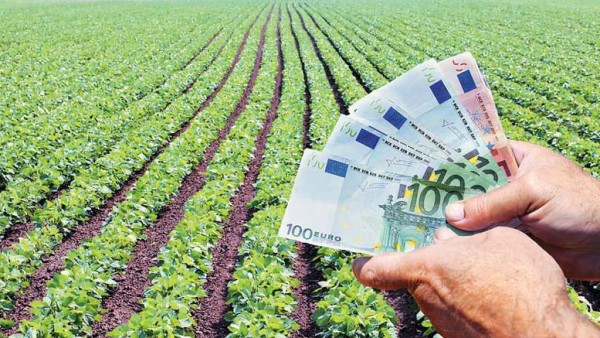 Χρέη στα Ταμεία: Έρχεται ρύθμιση έως 120 δόσεις για αγρότες
