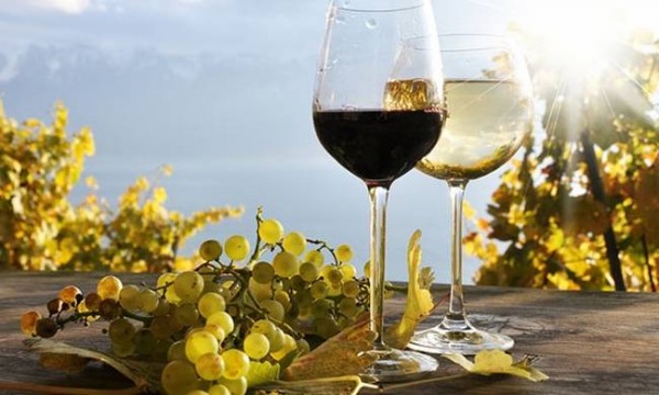 «Βουτιά» στην παραγωγή οίνου λόγω κλιματικών συνθηκών