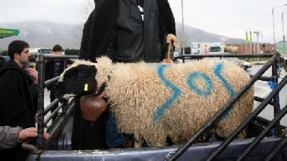 Σωρευτικό ακατάσχετο στα 15.000 ευρώ ζητούν οι κτηνοτρόφοι Αν. Μακεδονίας - Θράκης