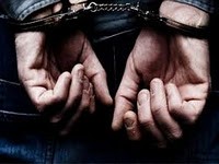 Τρεις συλλήψεις για ζωοκλοπή στη Ρόδο