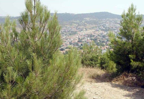 Φάμελλος: Πολύ σημαντικό δυναμικό στη βιοποικιλότητα της Ελλάδας