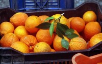 Κατάσχεση 10 τόνων φρούτων άγνωστης προέλευσης στον Πειραιά 
