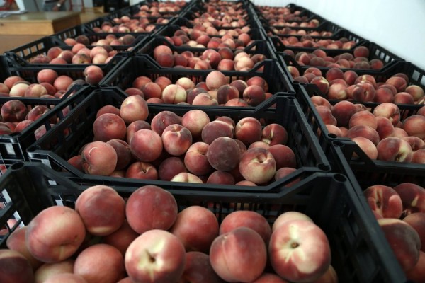 Κατάσχεση 6,9 τόνων ακατάλληλων φρούτων στον Πειραιά