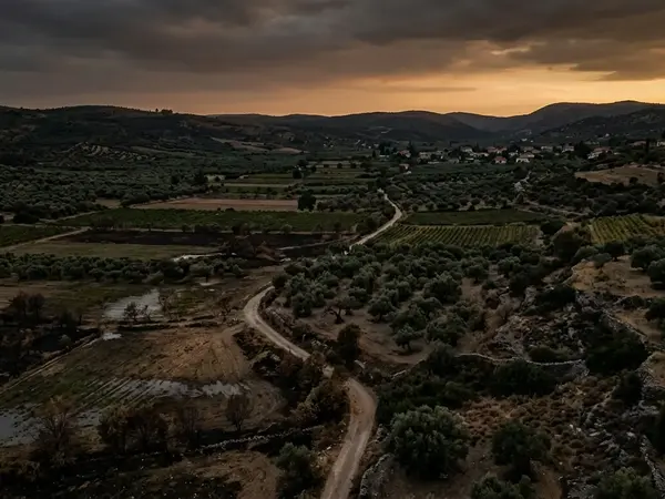 ΕΛΓΑ: Αποζημιώσεις, Ασφάλιστρα και Κανονισμοί