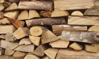 Κατασχέθηκαν 13.088,75 τόνοι λαθραία υλοτομημένων ξύλων το 2012