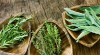 Αρωματικά και φαρμακευτικά φυτά: Δεκαεφτά λύσεις για καλύτερη υγεία