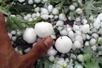 Τρίκαλα: Χαλάζι κατέστρεψε χιλιάδες στρέμματα σε καλλιέργειες 