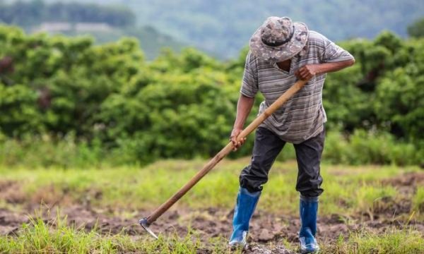 ΥΠΑΑΤ: Παράταση 3+3 μηνών στην κατά παρέκκλιση διαδικασία για τους εργάτες γης από τρίτες χώρες