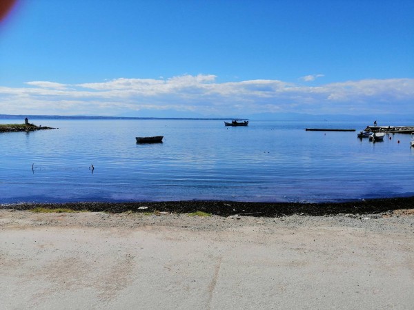Νέα Κρήνη: Στο νέο αλιευτικό καταφύγιο από το 2024 οι ψαράδες της περιοχής 