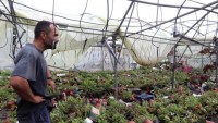 Βορίδης: Άμεσα η καταγραφή ζημιών στις καλλιέργειες